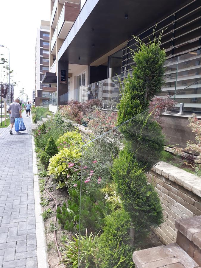 בראשוב Sweet Garden Residence מראה חיצוני תמונה